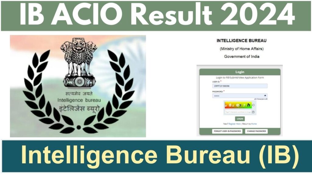 IB ACIO Executive Result 2024